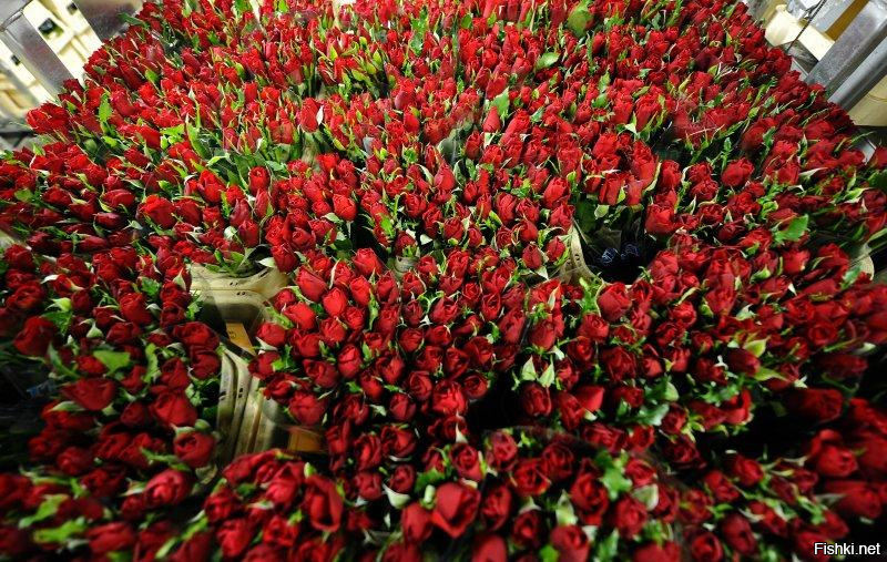 на 23 февраля получить 10-летний запас геля для бритья, а впереди еще 8 марта....