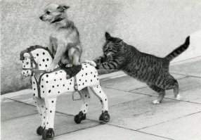 Когда виртуальная реальность добралась и до России