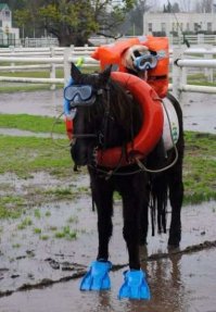 Фотоподборка за 11.11.2016