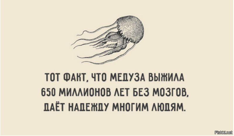 А на десерт у нас свинец