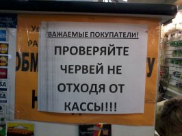 в рыболовном магазине