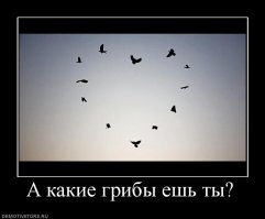 Символика и зашифрованные послания на некоторых банкнотах мира