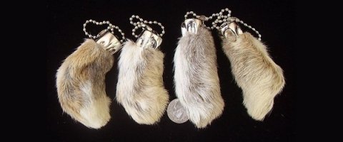 Они их как коров жрут, из кроличьих лапок ведь делают сувениры.