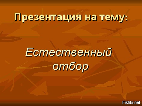 Внимательнее переходите Ж/Д пути