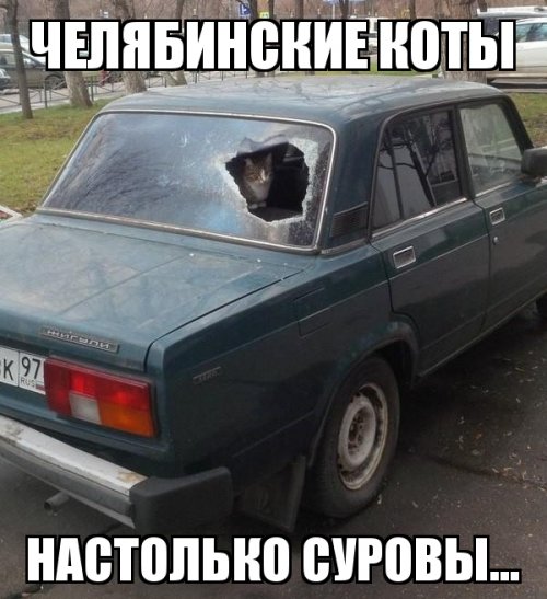 Свежая подборка автоприколов