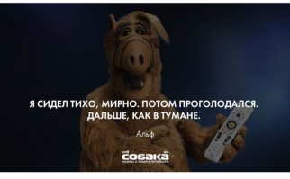 ALF