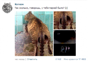 О материнской мотивации