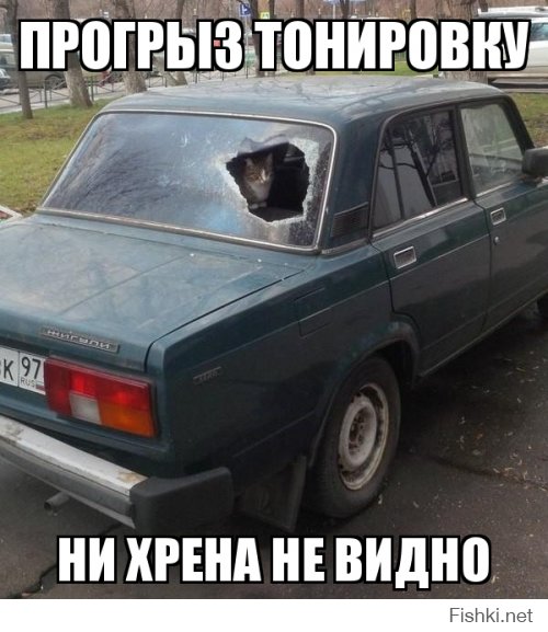 Свежая подборка автоприколов