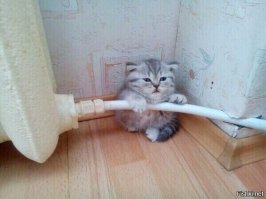 Фото-подборка приколов. Всем хорошего настроения!