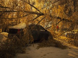 А у нас во дворе.... Мне ко врачу ехать, а тут завалило со всех сторон, выехать никак. Пришлось обчественным траспортом ехать, в итоге опоздал на полчаса.