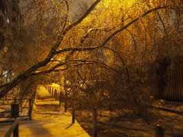 А у нас во дворе.... Мне ко врачу ехать, а тут завалило со всех сторон, выехать никак. Пришлось обчественным траспортом ехать, в итоге опоздал на полчаса.