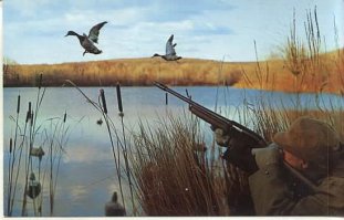 Фото-приколы! Всем отличного настроения!