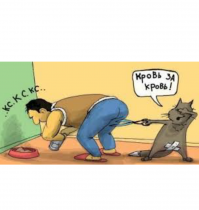 Евнухи: как, зачем и отчего