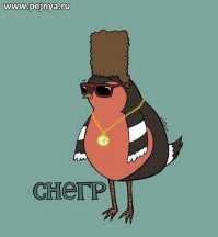 Что за птица?