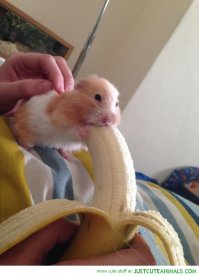 Очень интересные исторические фото, которые обязательно надо увидеть