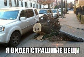 Пугающие фото неодушевленных предметов  