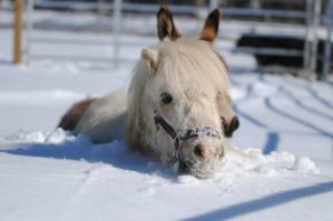 Забавная подборка фотографий