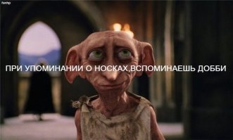 Носки вернули старому мопсу радость жизни!