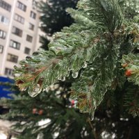 Фото-подборка приколов. Всем хорошего настроения!