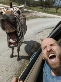 Фото-подборка приколов. Всем хорошего настроения!