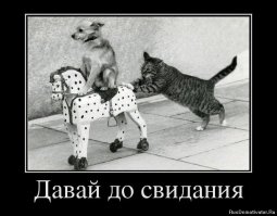 23 звезды, которые обещали уехать из США после победы Трампа