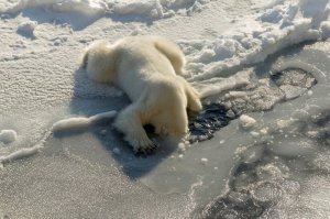 Воскресенье. Утро. :)