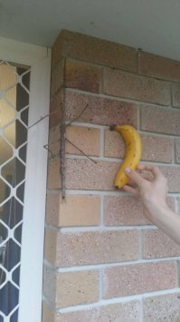 А здесь что особенного?