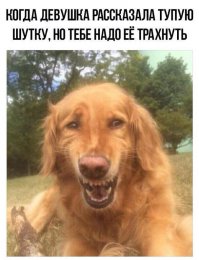 Картинки с надписями