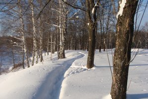 Леса около Покровки. Зима, декабрь 2014