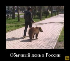 Умом Россию не понять - такое возможно только у нас в стране