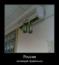 Умом Россию не понять - такое возможно только у нас в стране