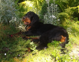 Интервал фото - три года.