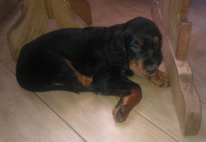 Интервал фото - три года.