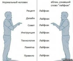 Как сделать мухоловку...практически из "ничего"