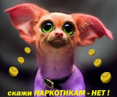 Парад идиотов или наркоманов ?