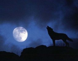 Суперлуние