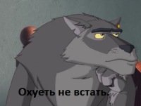Бухай, садись за руль, дави людей
