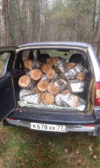 Забавная подборка фотографий