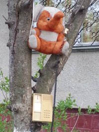 А вот уже творчество самих жильцов:
Если в начале весны, это еще куда не шло, то в конце осени, весь этот ландшафтный дизайн хочется выстирать и выбросить...