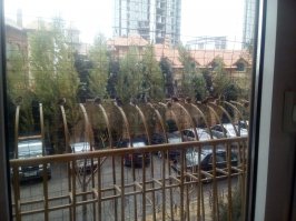 Охрана прилетела...