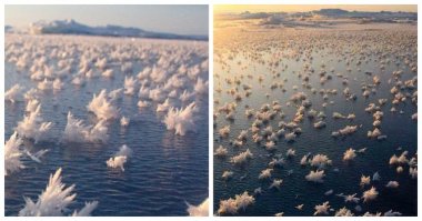 льды арктики оч напоминают сивашкую соль...