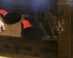 Котик в шоке немножко, на остальной части карины срамота с грязными ногами