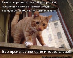 Подборка прикольных фотографии