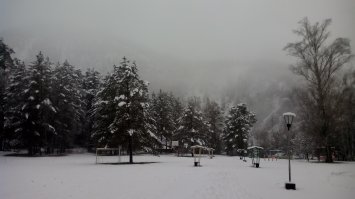 Фотоподборка за 15.11.2016