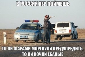 Свежая подборка автоприколов