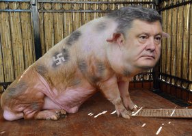 с самой большой свиньёй не угадали чутка))