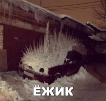 машина - ёж