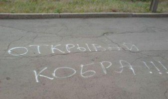 Мужчина женился на трехметровой кобре и утверждает, что это его реинкарнировавшая девушка