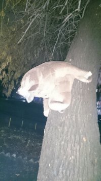 Ночью очень страшно.....