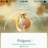 Какой Трамп? Это же Пиджит из Покемон Го!:D